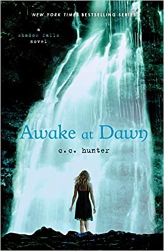 Book cover for "Awake at Dawn" by Christie Craig