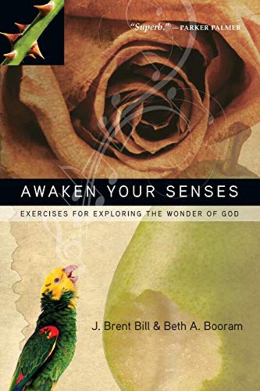 Book cover for "Awaken Your Senses: Exercises for Exploring the Wonder of God" by J Brent Bill