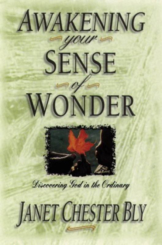 Book cover for "Awakening Your Sense of Wonder" by Stephen and Janet Bly