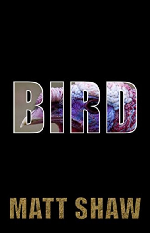 Book cover for "BIRD" by Matt Shaw