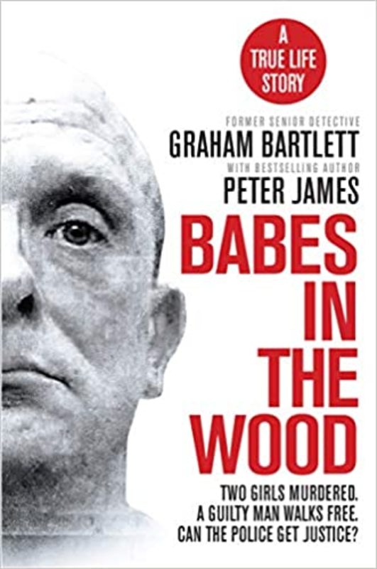 Book cover for "Babes In The Wood" by Peter James