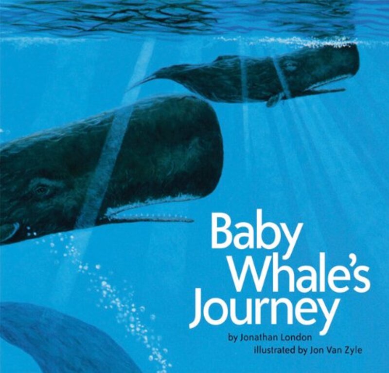 Book cover for "Baby Whale's Journey" by Jonathan London