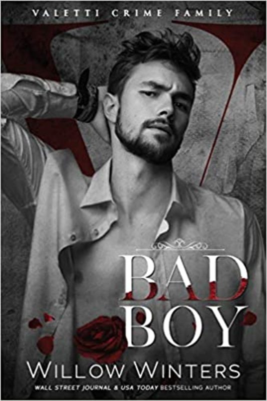 Book cover for "Bad Boy" by Willow Winters
