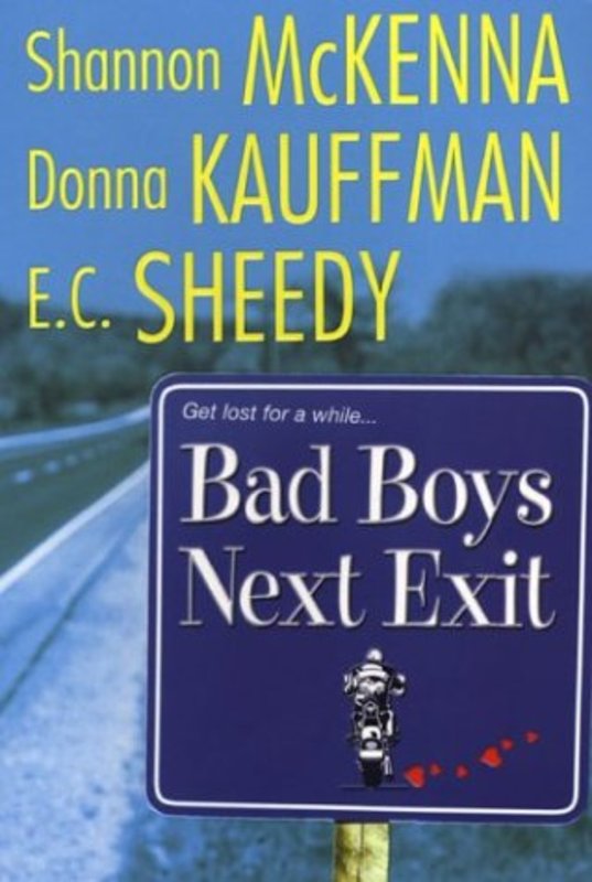 Book cover for "Bad Boys Next Exit" by Shannon McKenna