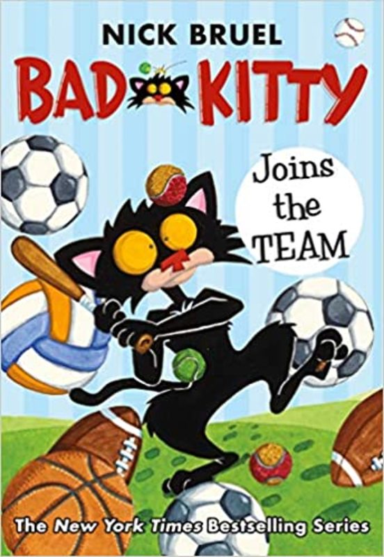 Bad Kitty book cover