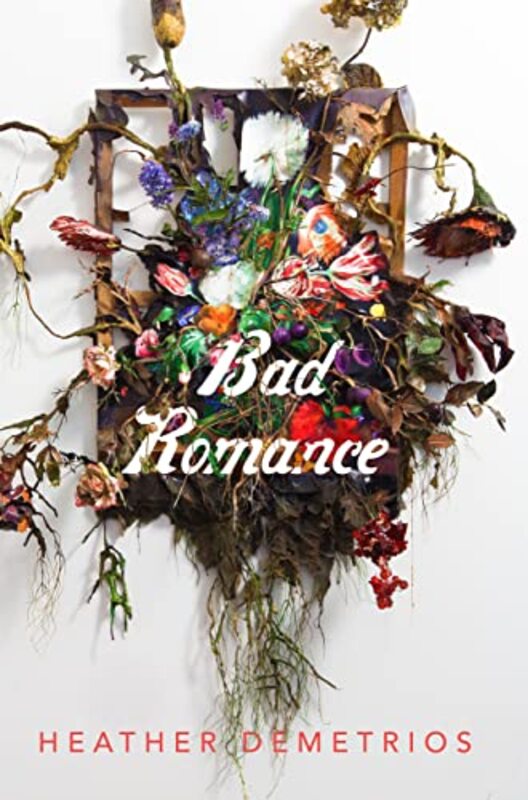 Heather Demetrios book cover