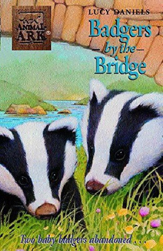 Book cover for "Badgers by the Bridge" by Lucy Daniels