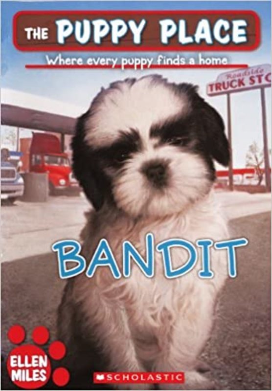 Book cover for "Bandit" by Ellen Miles