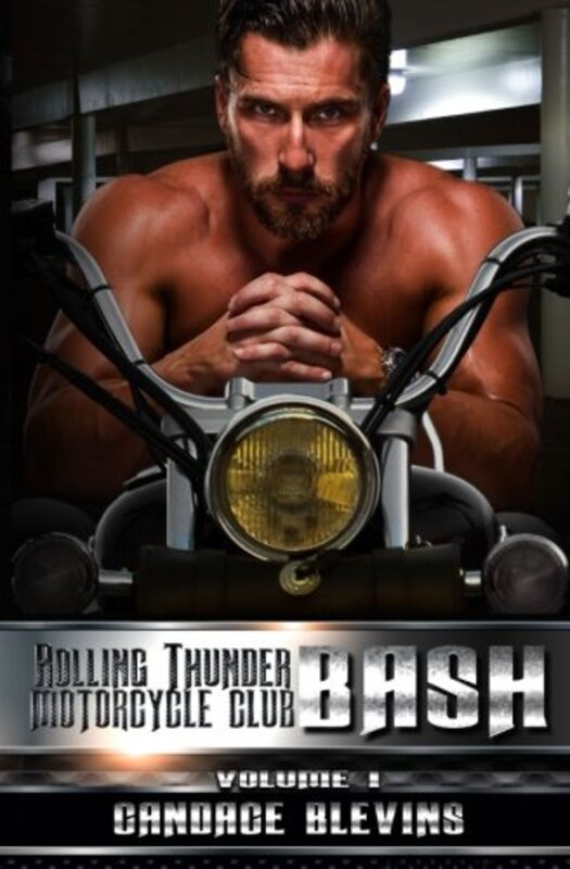 Book cover for "Bash, Volume I" by Candace Blevins