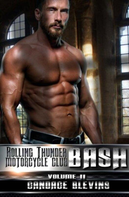Book cover for "Bash, Volume II" by Candace Blevins