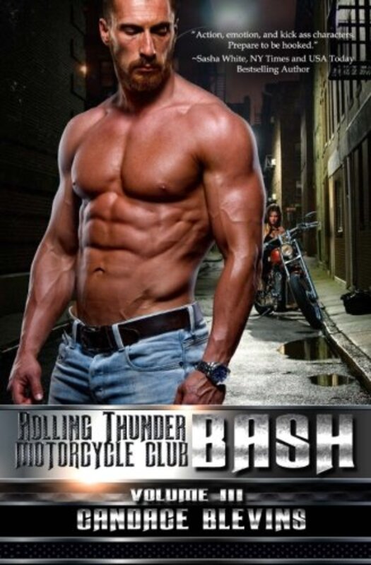Book cover for "Bash, Volume III" by Candace Blevins