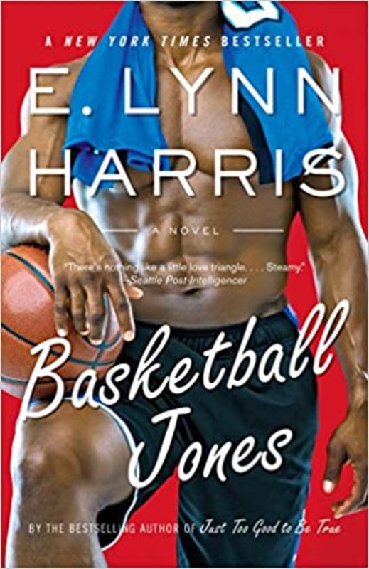 E Lynn Harris book cover