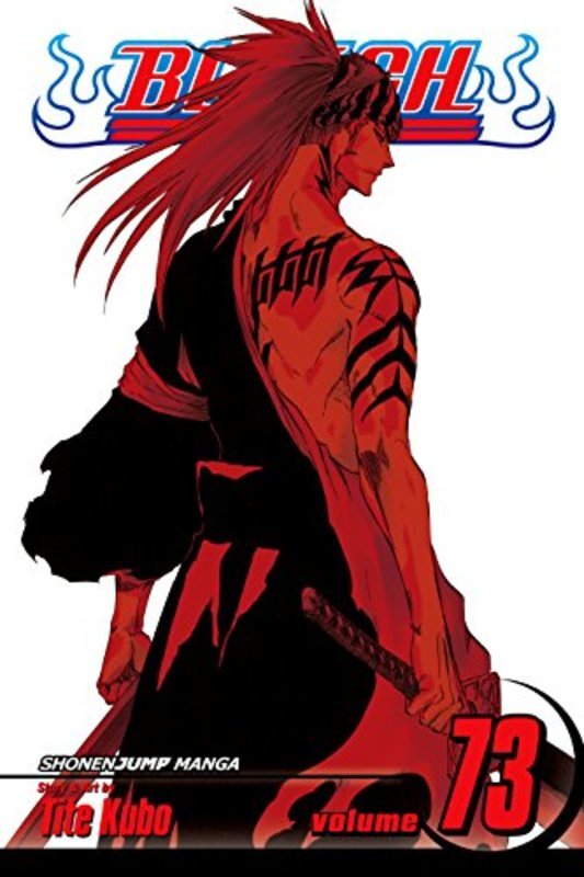 Bleach Manga book cover