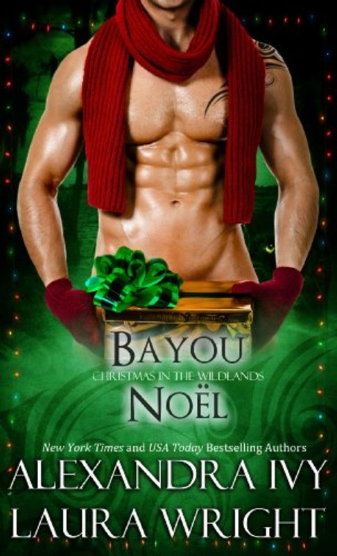 Book cover for "Bayou Noël" by Laura Wright