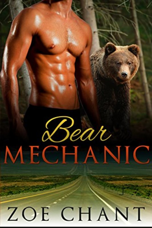 Book cover for "Bear Mechanic" by Zoe Chant