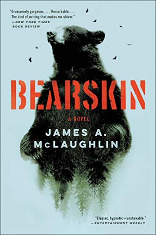 James A McLaughlin book cover