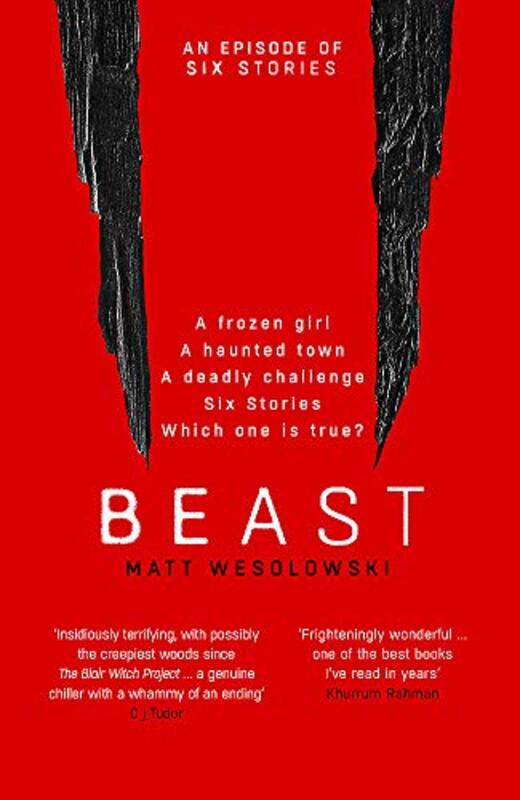 Matt Wesolowski book cover