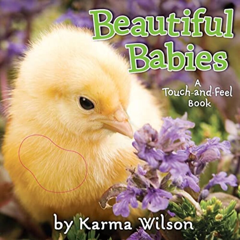 Book cover for "Beautiful Babies" by Karma Wilson