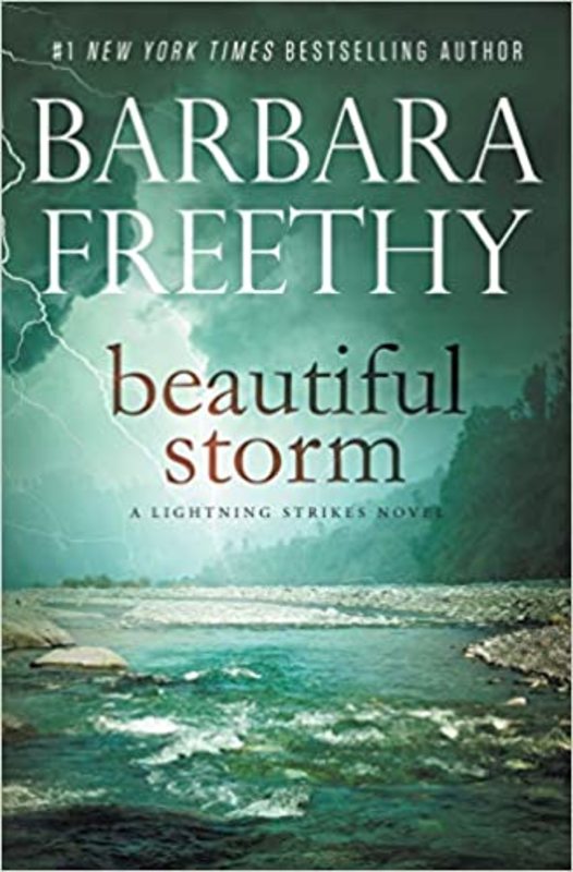 Book cover for "Beautiful Storm" by Barbara Freethy