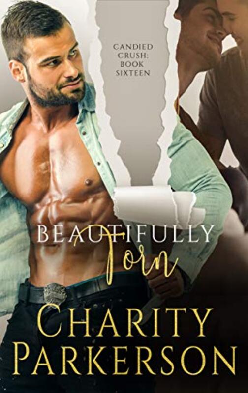 Book cover for "Beautifully Torn" by Charity Parkerson