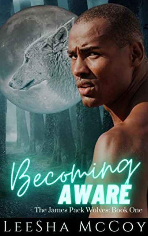 Book cover for "Becoming Aware" by LeeSha McCoy