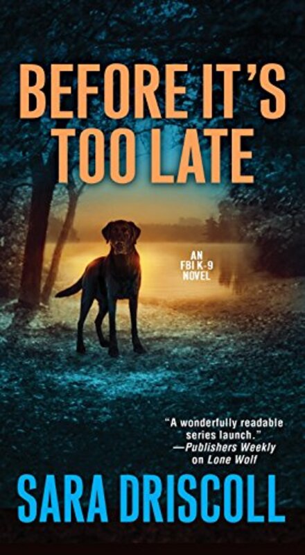Book cover for "Before It's Too Late" by Sara Driscoll