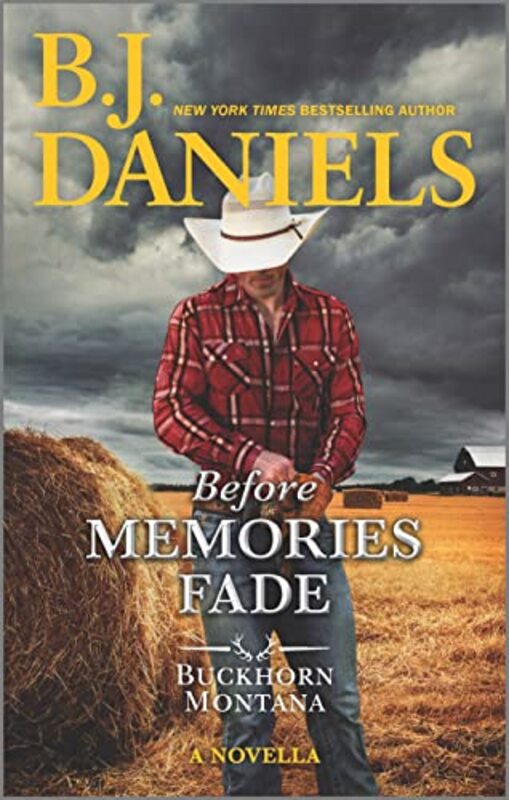 BJ Daniels book cover