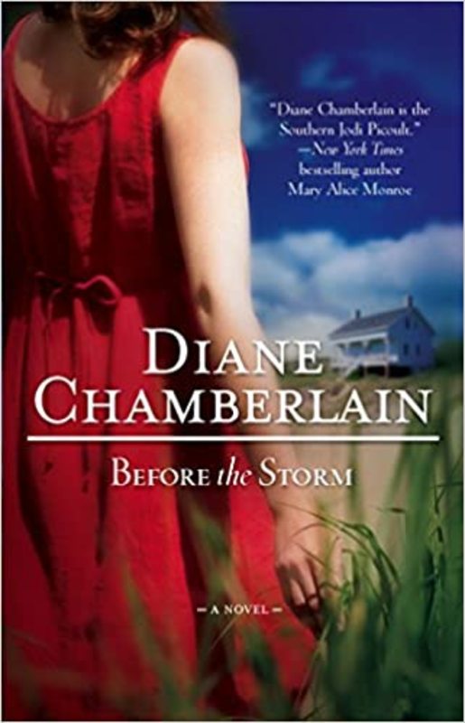 Book cover for "Before the Storm" by Diane Chamberlain