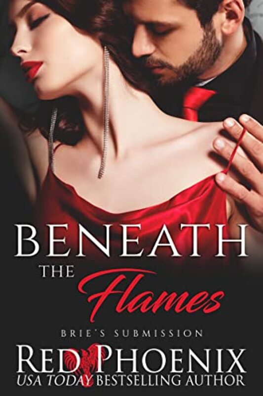 Brie's Submission book cover