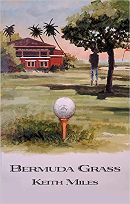 Alan Saxon book cover