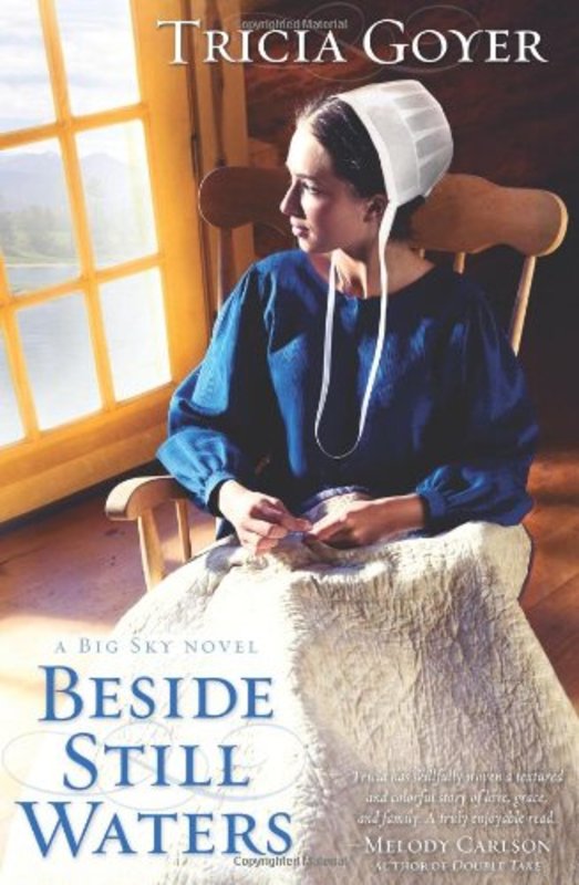 Book cover for "Beside Still Waters" by Tricia Goyer