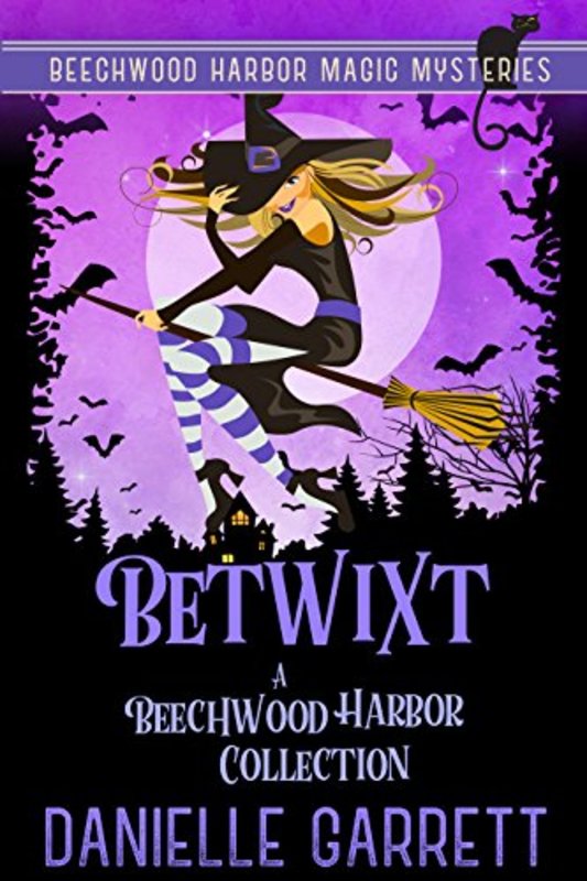 Book cover for "Betwixt" by Danielle Garrett