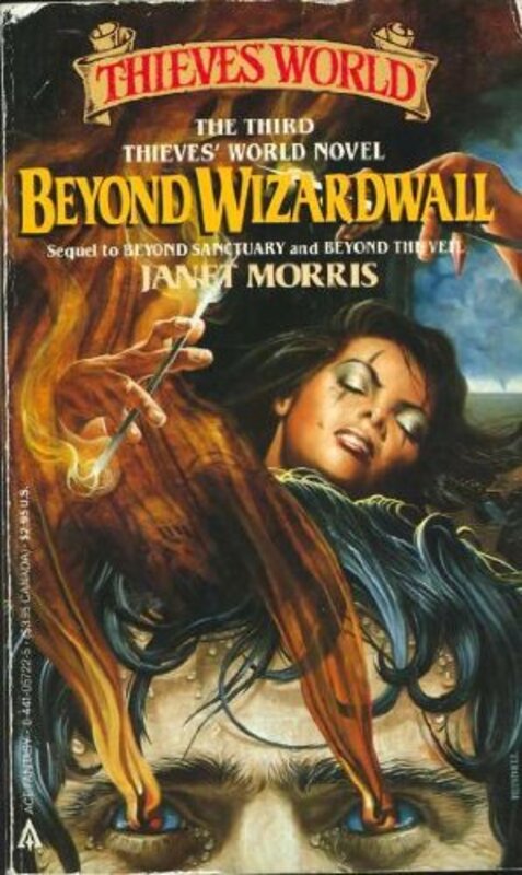 Book cover for "Beyond Wizardwall" by Janet E Morris