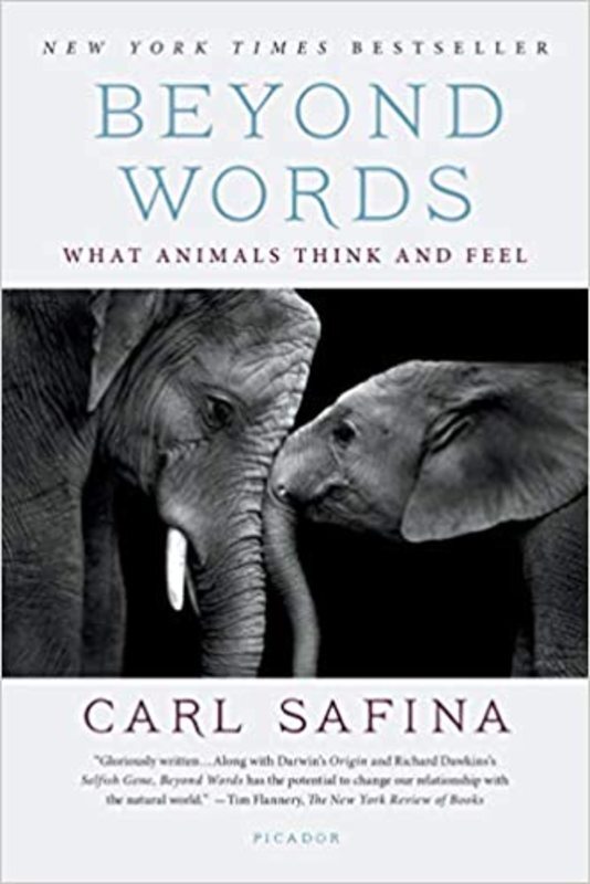 Book cover for "Beyond Words" by Carl Safina