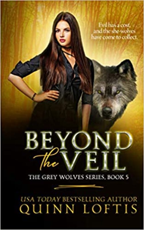 Book cover for "Beyond the Veil" by Quinn Loftis