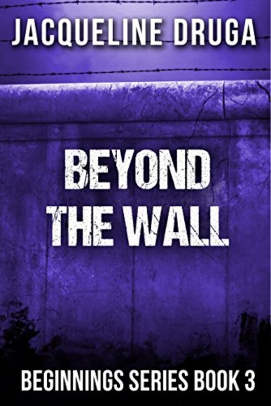 Book cover for "Beyond the Wall" by Jacqueline Druga