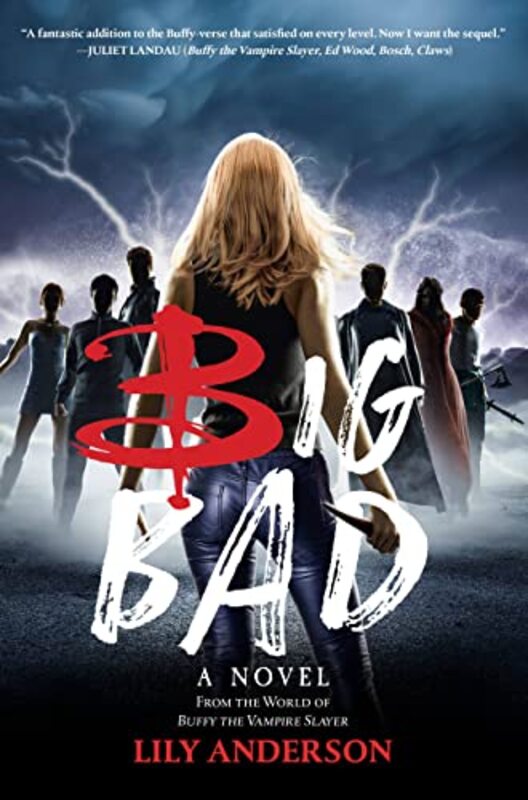 Lily Anderson book cover