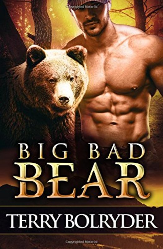 Book cover for "Big Bad Bear" by Terry Bolryder