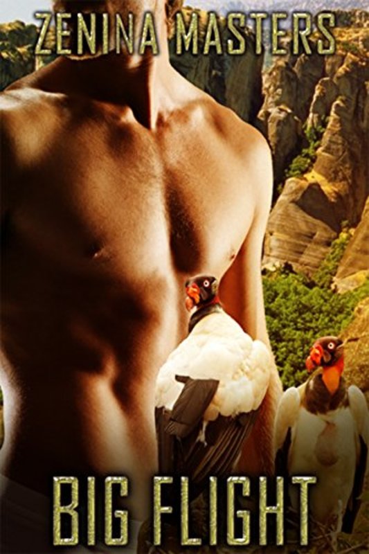 Book cover for "Big Flight" by Viola Grace