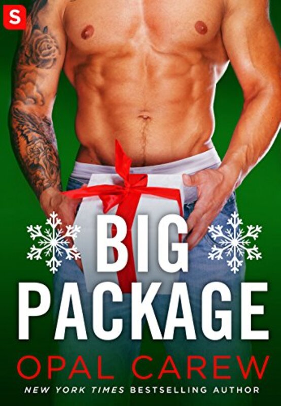 Book cover for "Big Package" by Opal Carew