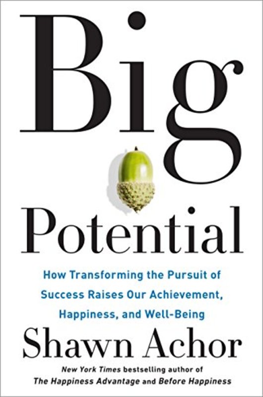 Book cover for "Big Potential" by Shawn Achor