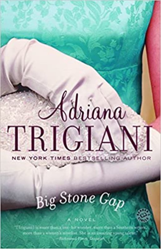 Big Stone Gap book 1 cover