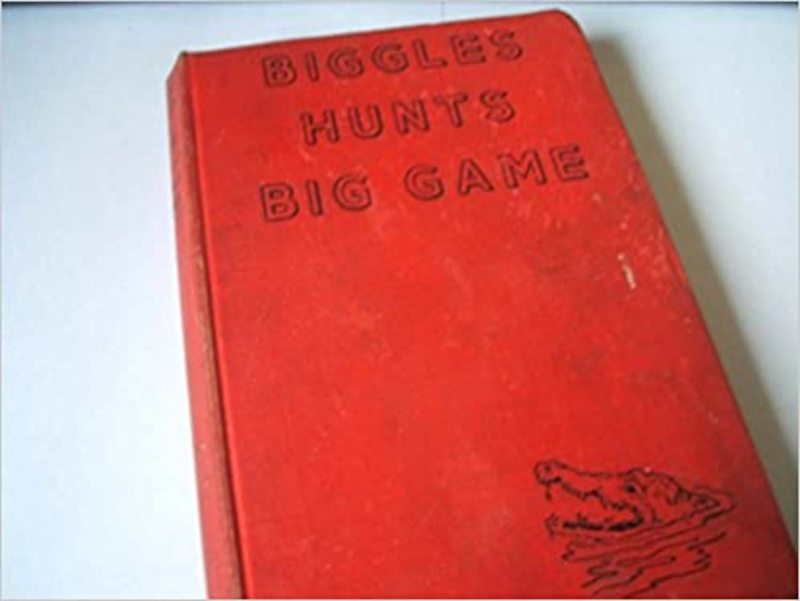 Book cover for "Biggles' Second Case" by Captain WE Johns