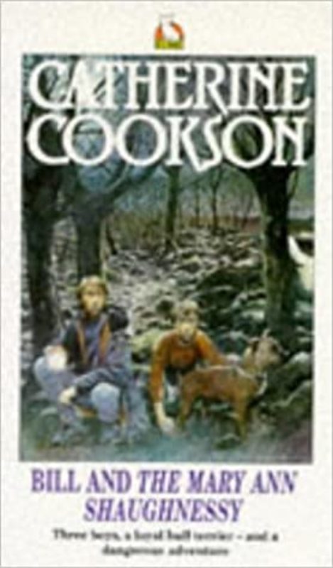 Mary Ann Shaughnessy book cover