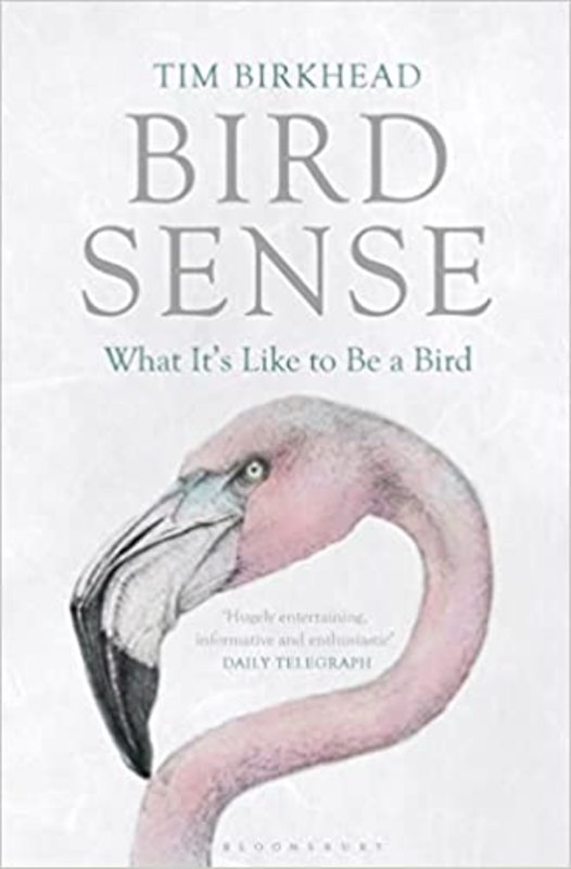 Book cover for "Bird Sense" by Tim Birkhead