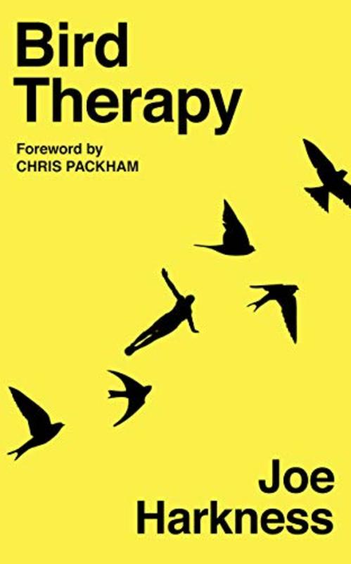 Book cover for "Bird Therapy" by Joe Harkness