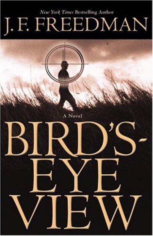 Book cover for "Bird's-Eye View" by JF Freedman