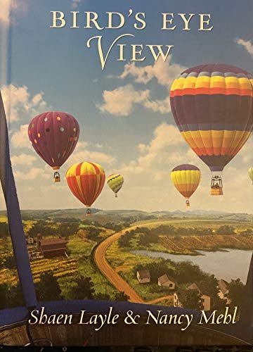 Book cover for "Birds Eye View" by Nancy Mehl