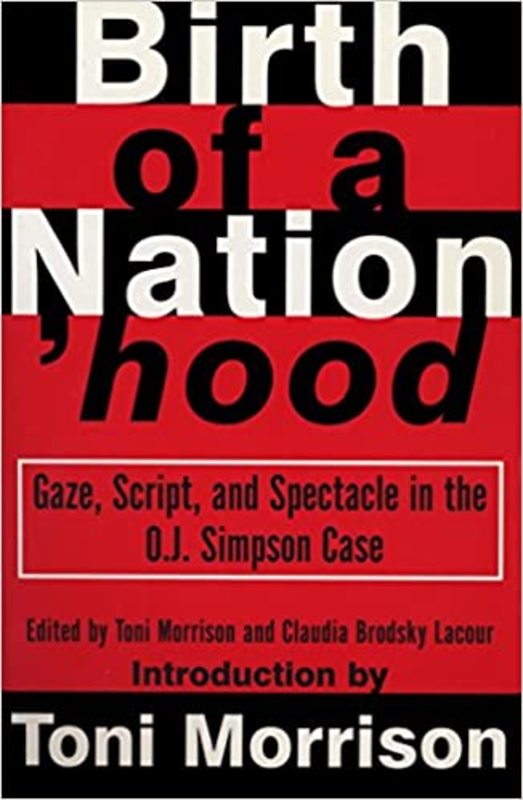Book cover for "Birth of a Nation'hood" by Toni Morrison