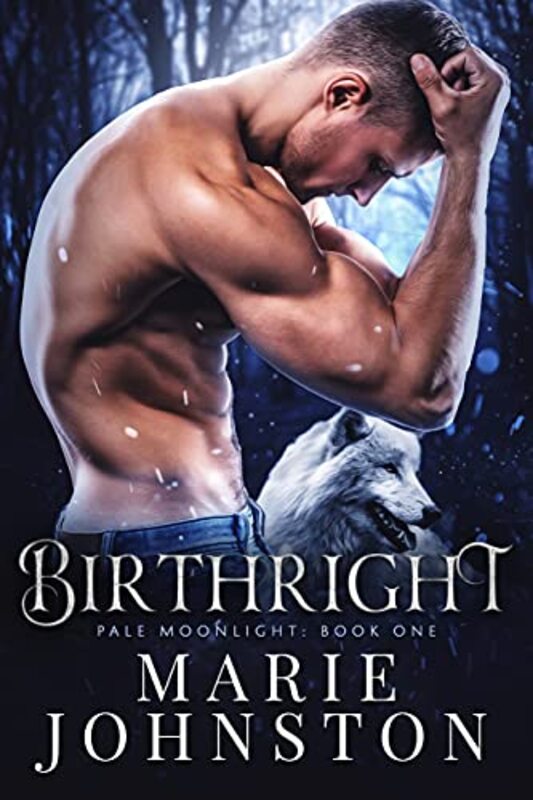 Book cover for "Birthright" by Marie Johnston